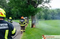 _2024-06-08 Brand Baum Letten-0001